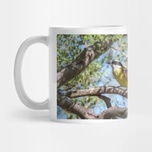 Great Kiskadee in Tree Filtered Light Mug